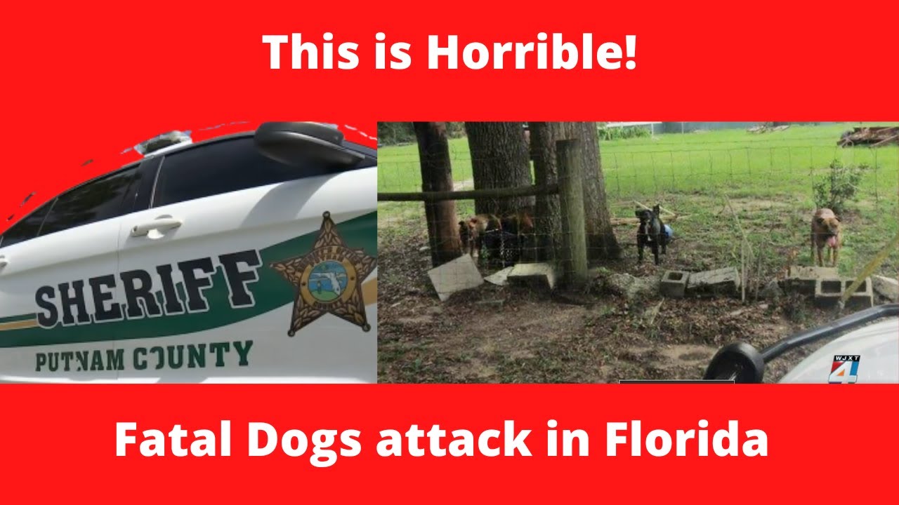 This is Horrible! Fatal Dog Attack in Florida - YouTube