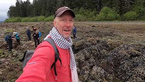 ⭐️Tidepooling in Alaska with UnCruise