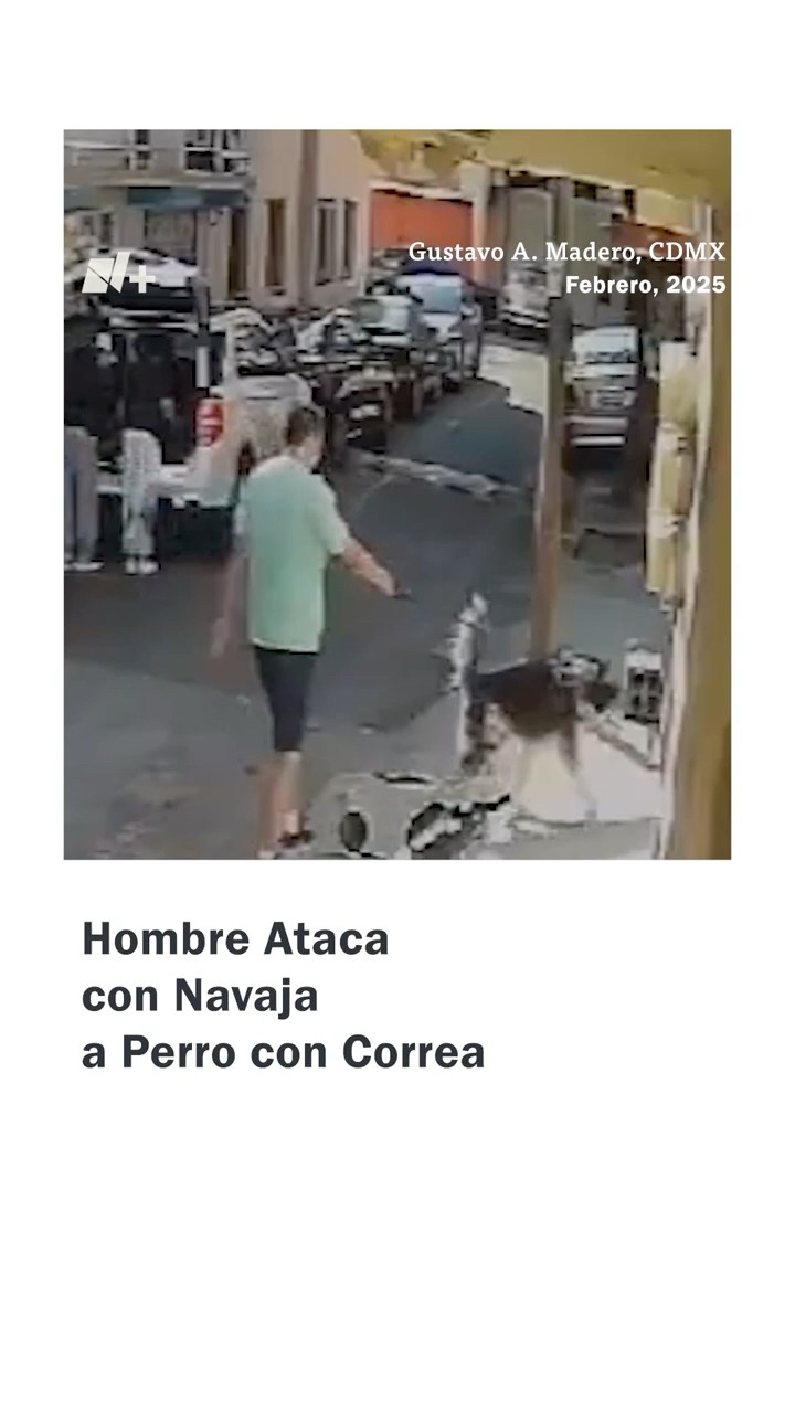 Hombre Ataca con Navaja a Perro con Correa - N+ ·shorts