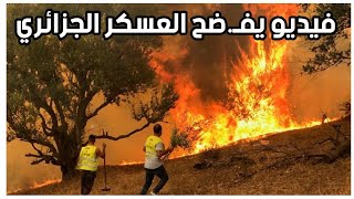 فيديو يفضـ ح أن العسكر الجزائري هو اللي شعل النـ ار في القبايل وسباها في المغرب