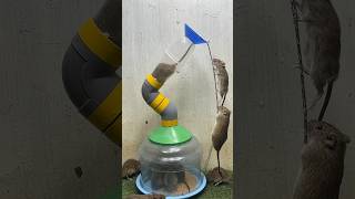 Best Home Mouse Trap/Best Mouse Trap Idea From Plastic Pipe #Rattrap #Rat #Mousetrap