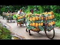 Amazing Pineapple Manufacturing Process - Fully Automatic Making Pineapple Juice Method in Factory