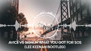 Avicii VS Signum - What You Got For SOS  (Lee Keenan Bootleg)