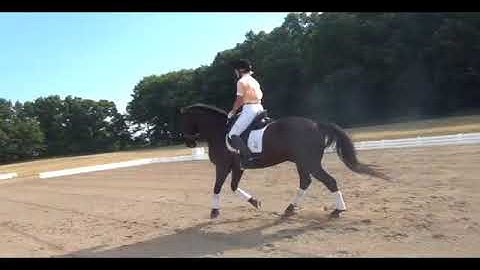 Shallow Loop in Canter