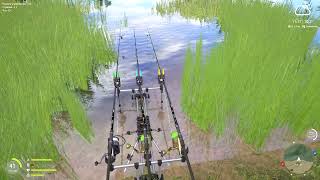 🐠Russian Fishing 4. Русская Рыбалка 4. Оз.Медвежье. Ловля КАРПА