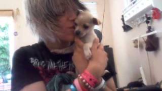 Lexi Making Out With My Dog