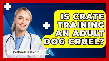 Is Crate Training An Adult Dog Cruel? - PetGuide360.com