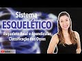 Sistema Esquelético 2/5: Esqueleto Axial e Apendicular. Classificação dos Ossos Mp3 Song
