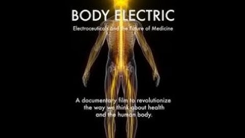 Body Electric: Electroceuticals and the Future of Medicine