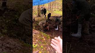 Добровольцы-поисковики начали раскопки партизанской землянки на бывшей базе рузского отряда