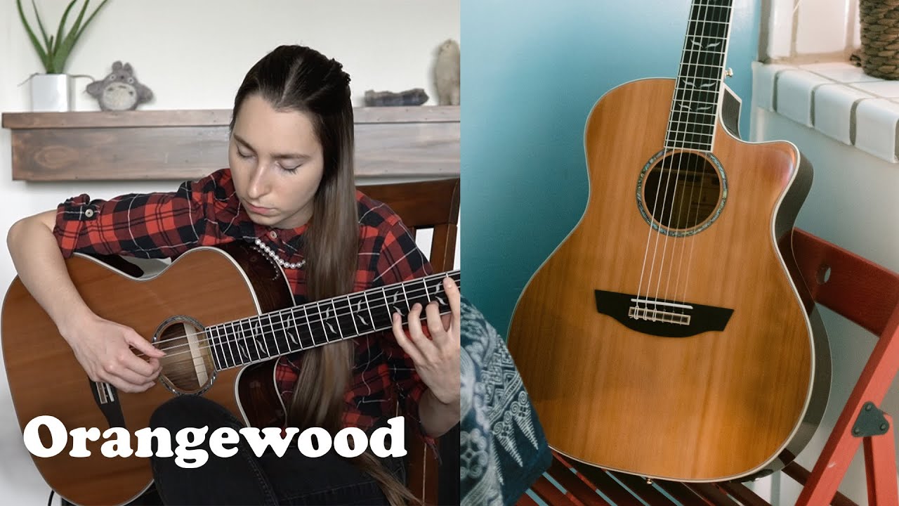 Steel String and Nylon String Comparison