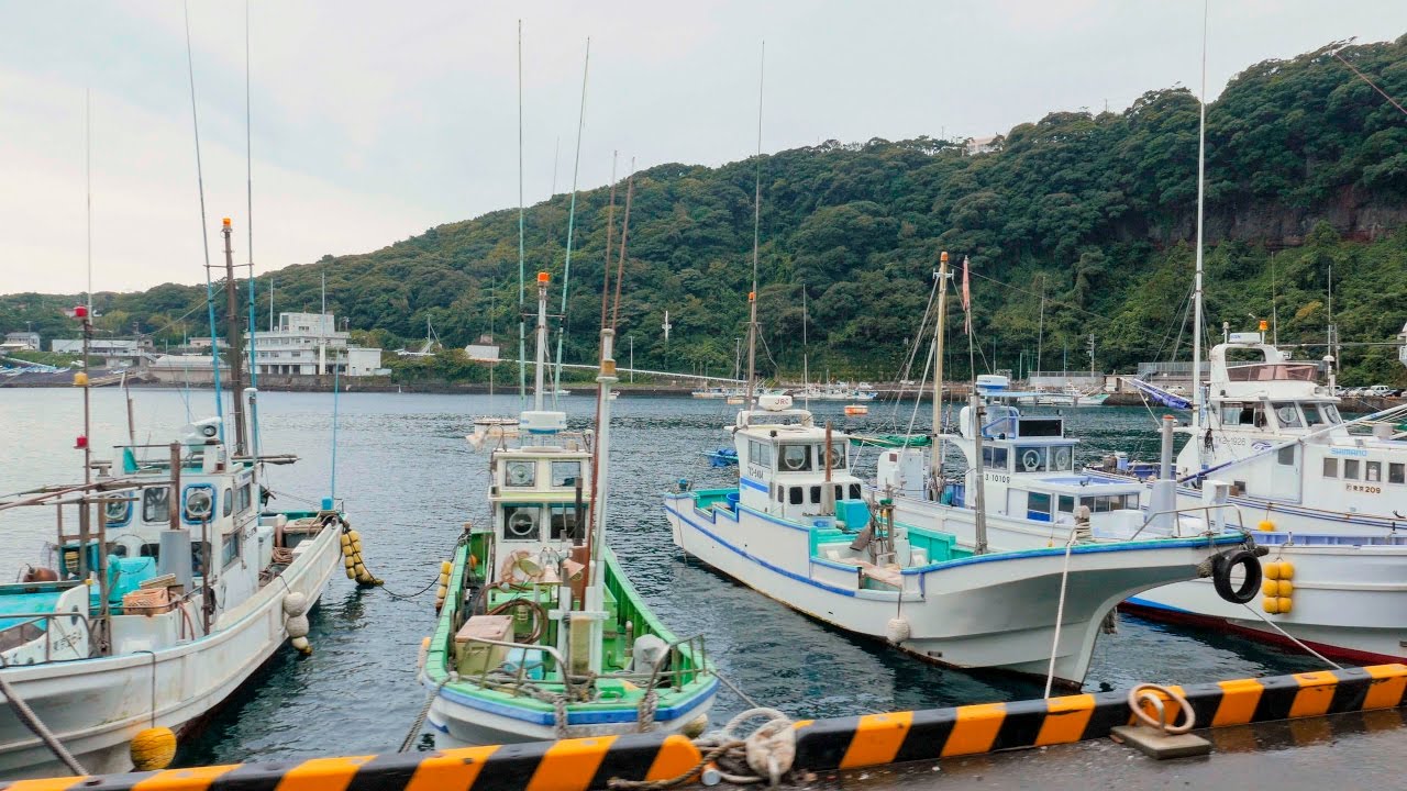 4K Ultra HD ] 伊豆大島（5）噴火口にできた波浮の港町 Habu Port