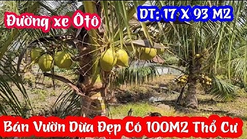 TẬP 3308:Vườn Dừa Đẹp Có 100M2 Thổ Cư,(1,588M2),Gần Chợ Long Định 