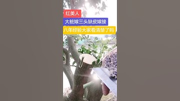 # Cảm ơn bạn chính thức # hướng dẫn nâng cấp # công nghệ nâng cấp