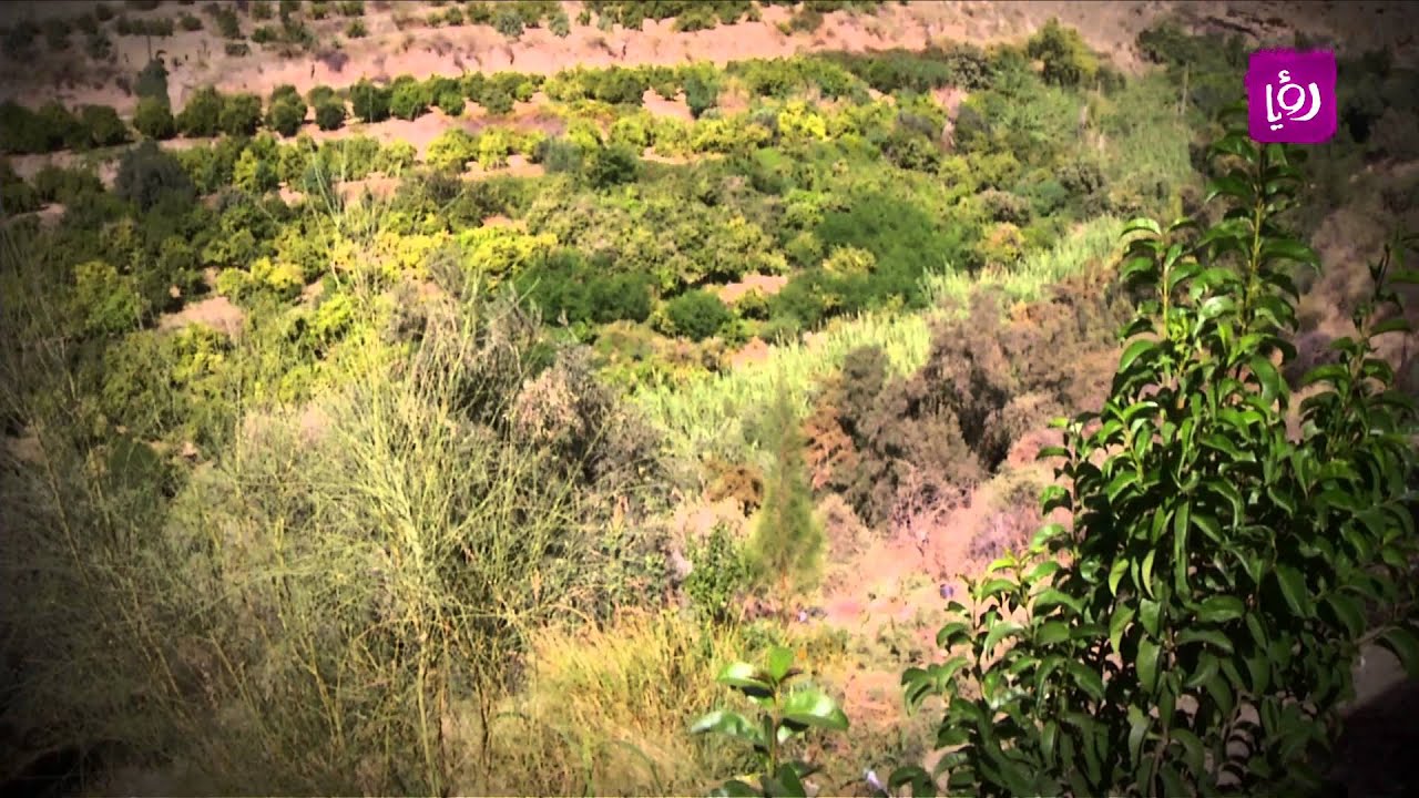 تقرير غادة سابا - الشونة الوسطى ووادي شعيب