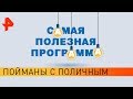 Пойманы с поличным. Самая полезная программа (15.06.19).