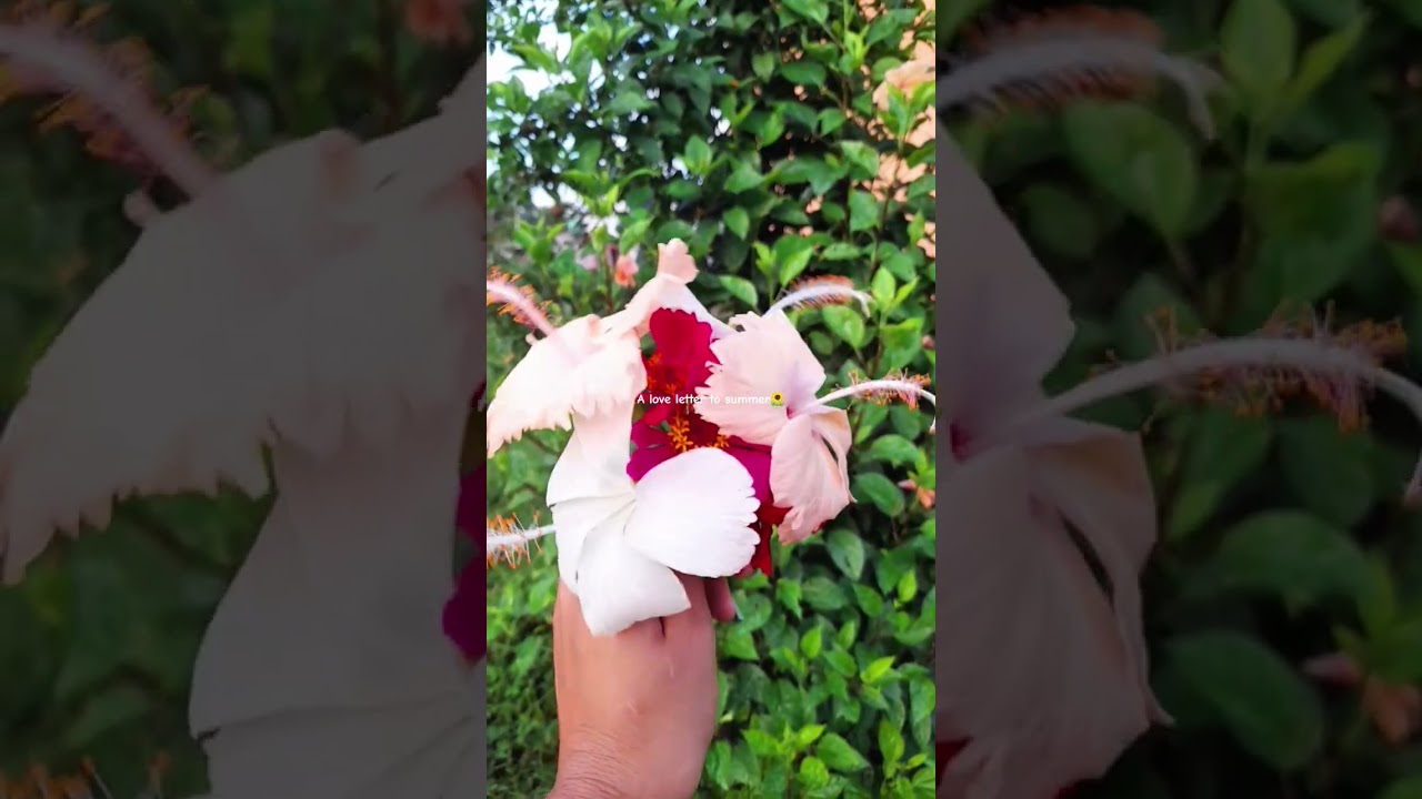 Summer in the Nepali countryside.🍀🌻 #countryside #countrybeauty #countrylife #thatcountrysidegirl