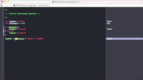 24. Ternary Conditional Operators | Swift Course on Udemy