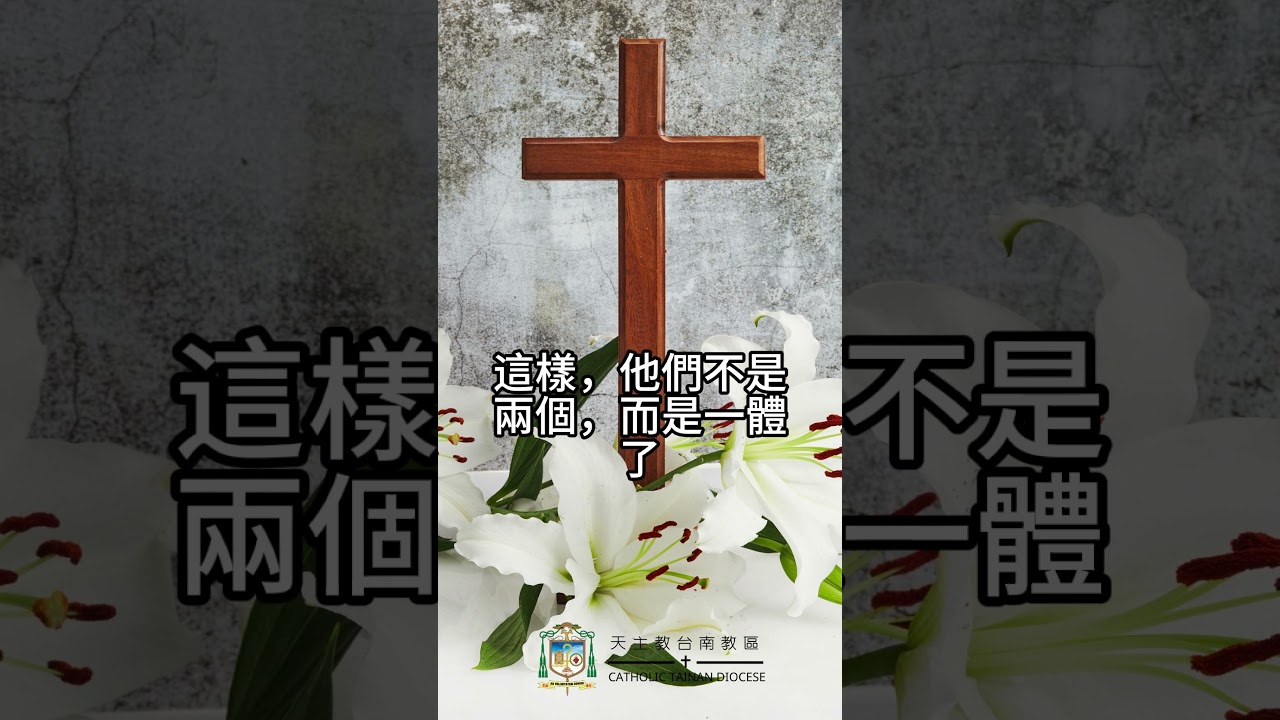 08/14  恭讀聖瑪竇福音　19:3-12   人要離開父親和母親，依附自己的妻子，兩人成為一體。