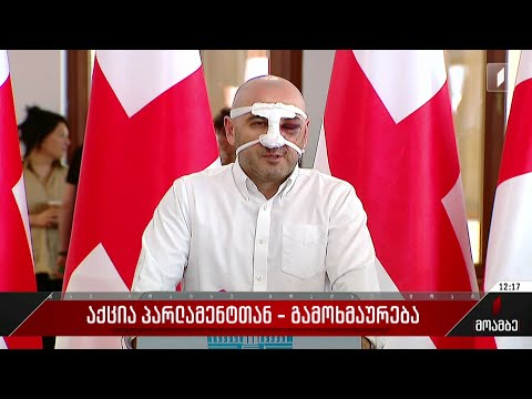 აქცია პარლამენტთან - გამოხმაურება პოლიტიკურ სპექტრში