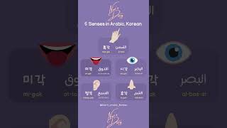 5 Senses in Arabic, Korean #learn  #korean  Learn #arabic