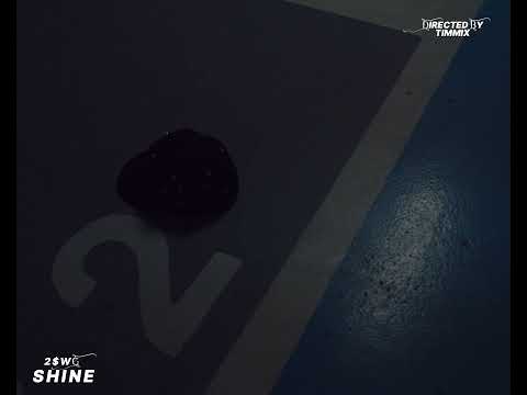 SHINE Official Music Video 