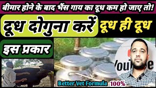 बीमार होने के बाद भैंस गाय का दूध कम हो जाए तो! दूध बढ़ाएं || Buffalo Cow ka Dudh Badaye