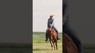 Rico - 2018 Aqha Gelding - Nrha Money Earner - Ranch Rider - By Gunnatrashya