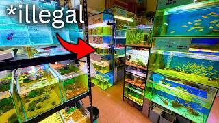 UNBELIEVABLE CHINA FISH STORE TOUR!