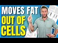 Newly Discovered Compound is Key to Fat Loss (produced by exercise)