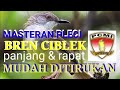 Masteran Pleci Full Bren Ciblek Rapat Dan Panjang Dengan Terapi Suara Air Mengalir Mp3 - Mp4 Download