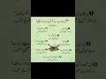 مشکل حالات سے قرآن سے مدد لیجیے