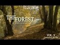 The Forest Chill Lounge Vol.9  (Deep Moods Music with Smooth Ambient & Chillout Tunes) Full Mix (HD)