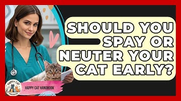 Should You Spay Or Neuter Your Cat Early? - Happy Cat Handbook