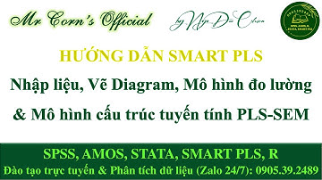 Hướng dẫn SMARTPLS | Nhập liệu, Vẽ Diagram, Mô hình đo lường & Mô hình cấu trúc PLS-SEM 08092025