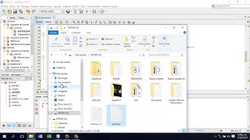 Manejo de archivos en java