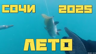 видео: Подводная охота в Черном море. Сочи Лазаревский район ЛЕТО 2025 картинка: Подводная охота в Черном море. Сочи Лазаревский район ЛЕТО 2025