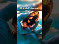 بيض سمك القرش معجزة سبحان الله