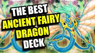 Yu-Gi-Oh! The BEST Ancient Fairy Dragon Deck Profile! - December 2025 - TCG and Master Duel!