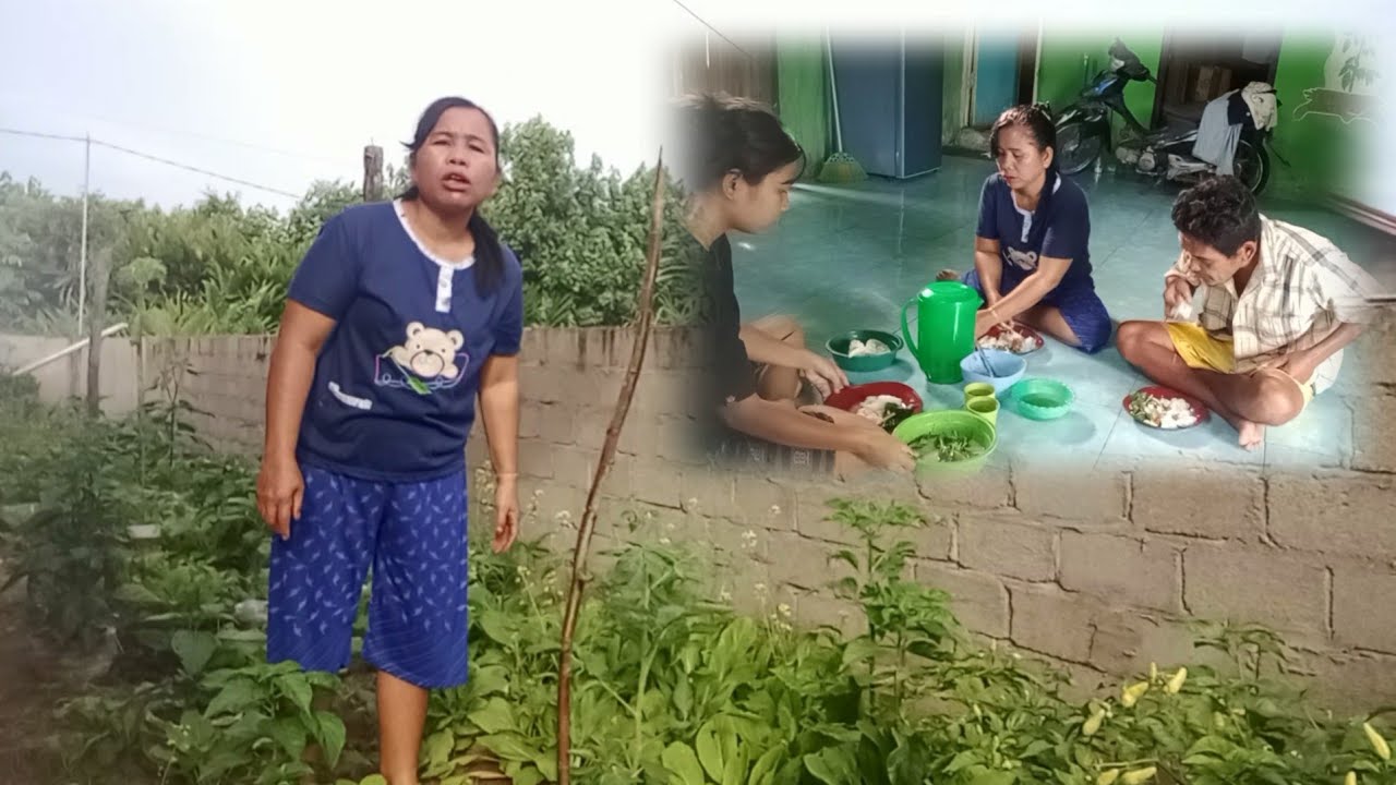 Inilah tanaman andalan nande bakti lanjut sarapan sebelum kekebun