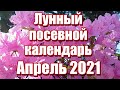 Лунный посевной календарь на Апрель 2021