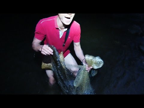 Video CÁ TO & KHỦNG • Tập 3 - Bắt Cá Suối 2017 - youtube