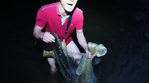 CÁ TO & KHỦNG • Tập 3 - Bắt Cá Suối 2017