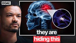 The #1 SIMPLE Way To Prevent Dementia (Science Backed)