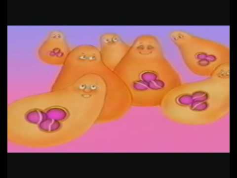 Секрет Нони.