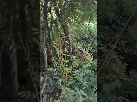 احب البر والمزيون 