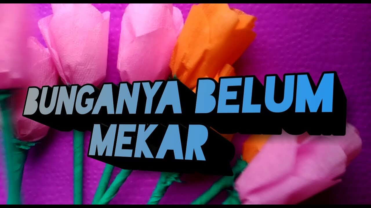 100+ Gambar Bunga Mawar Yang Belum Mekar Terlihat Keren 100+ Gambar Bunga Mawar Yang Belum Mekar Terlihat Keren