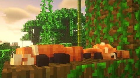 Critters and Companions trailer