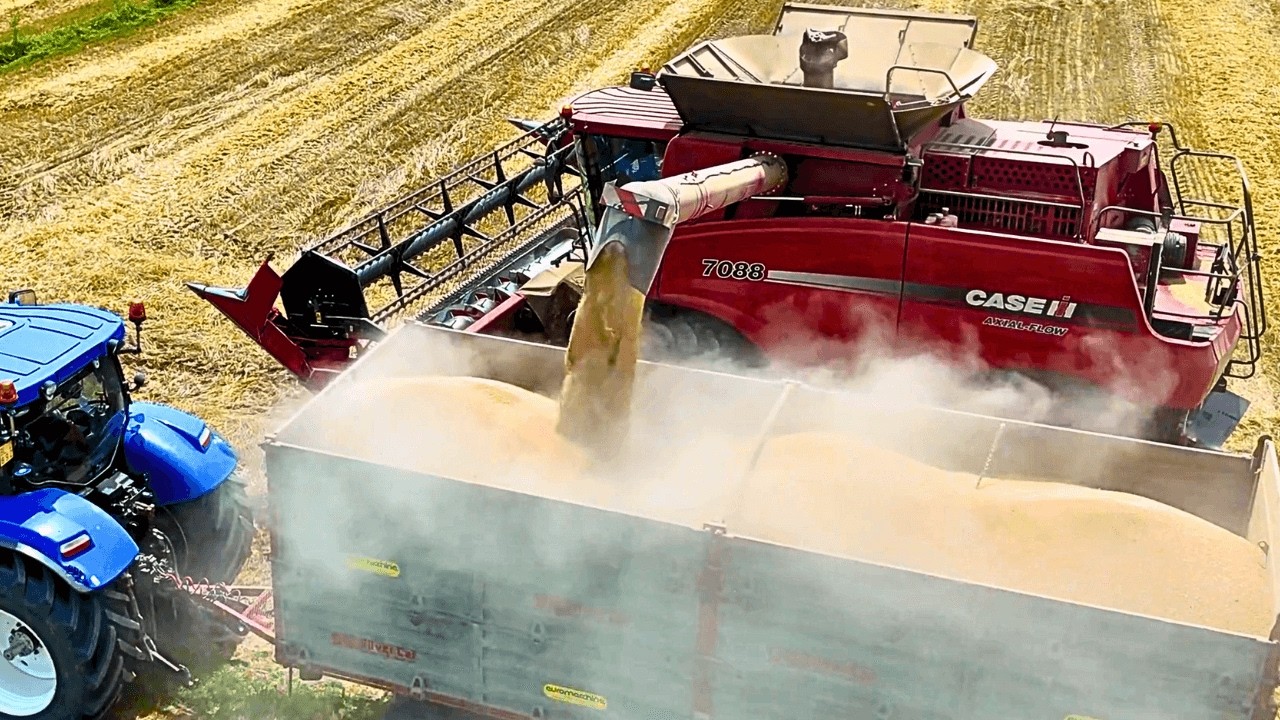 УРОЖАЙ ПШЕНИЦЫ 2025 ГОДА CASE IH AXIAL FLOW 7088