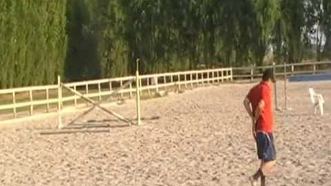 Cosa significa avere le mani dietro la schiena?